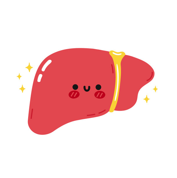 动物肝脏卡通画图片