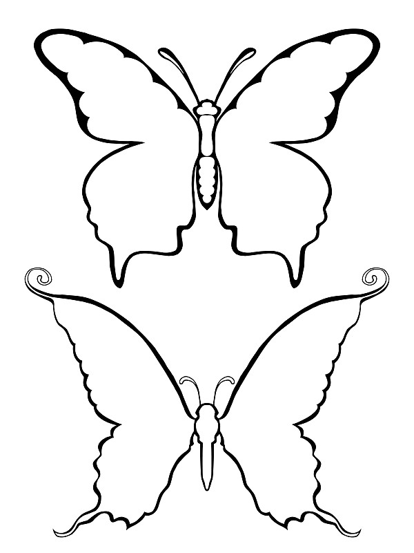 对称蝴蝶 画法图片