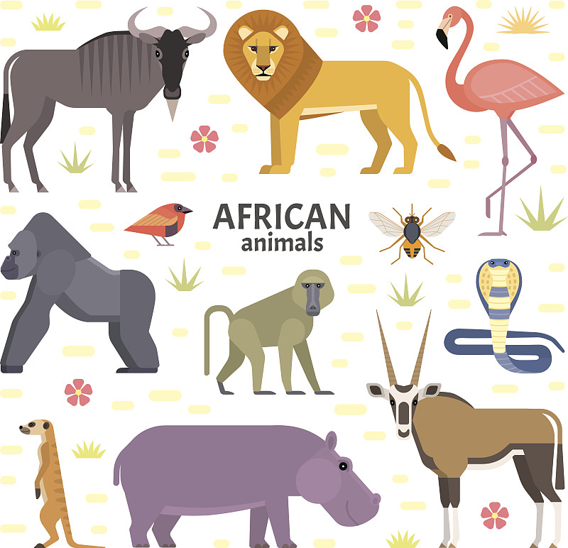 非洲的动物图片下载